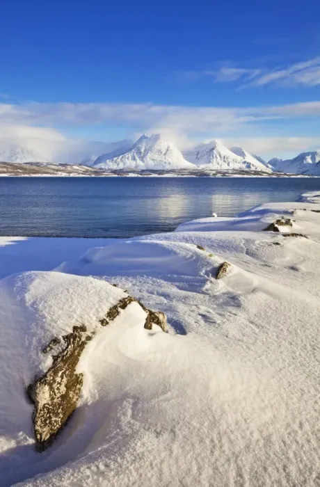 Framed Print : Breivikeidet, looking across Ullsfjord, towards the Southern Lyngen Alps, Troms, Norway, Scandinavia, Europe Framed Print : Breivikeidet, looking across Ullsfjord, towards the Southern Lyngen Alps, Troms, Norway, Scandinavia, Europe