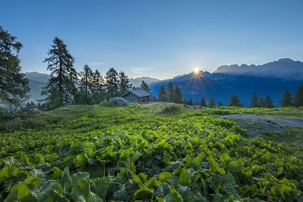 Brenta mountain range at sunrise, Rendena Valley, Trentino, Italy, Europe