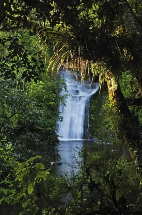 Framed Print : Bridal Veil Falls, Te Urewera National Park, Bay of Plenty, North Island Framed Print : Bridal Veil Falls, Te Urewera National Park, Bay of Plenty, North Island