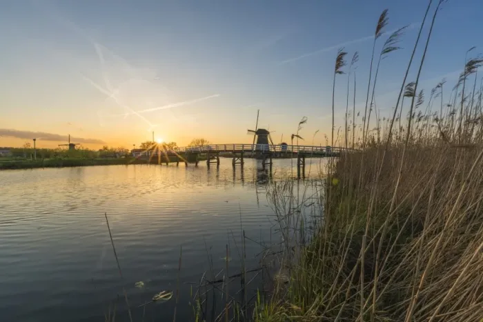 Framed Print : Bridge over the canal with windmills and reeds in the foreground, Kinderdijk, UNESCO Framed Print : Bridge over the canal with windmills and reeds in the foreground, Kinderdijk, UNESCO
