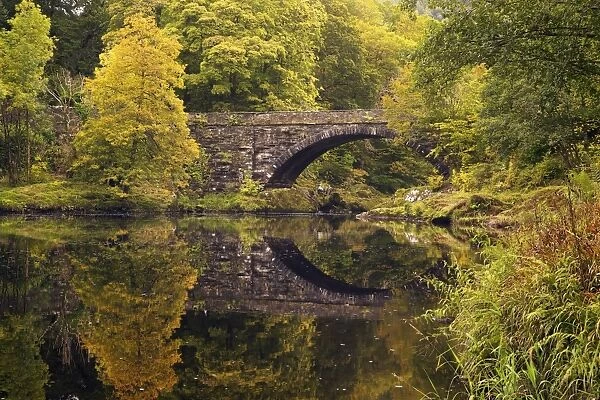 Bridge over River Conwy in autumn, near Betwys-y-Coed, Wales, United Kingdom, Europe
