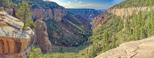 Bright Angel Canyon viewed from Coconino Overlook along North Kaibab Trail on Grand