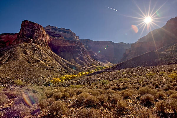 Bright Angel Canyon viewed north of the south rim with bright yellow trees in the