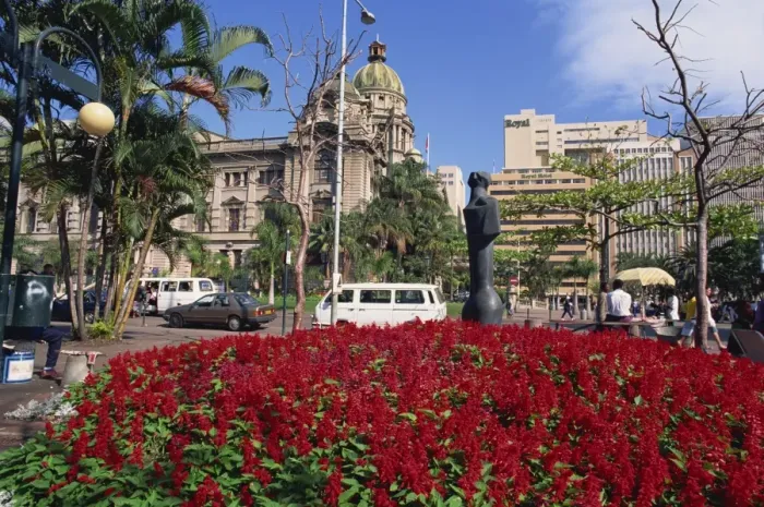 Framed Print : Bright flowers before the City Hall Framed Print : Bright flowers before the City Hall