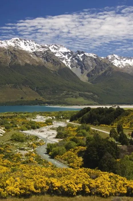 Framed Print : Bright summer flowers and snow capped mountains near Queenstown Framed Print : Bright summer flowers and snow capped mountains near Queenstown