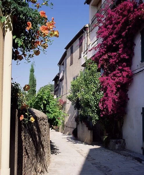 Brightly coloured flowers in village street, Grimaud, Var, Cote d Azur