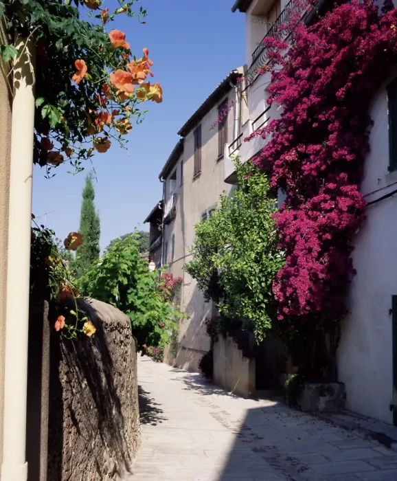 Framed Print : Brightly coloured flowers in village street, Grimaud, Var, Cote d Azur Framed Print : Brightly coloured flowers in village street, Grimaud, Var, Cote d Azur