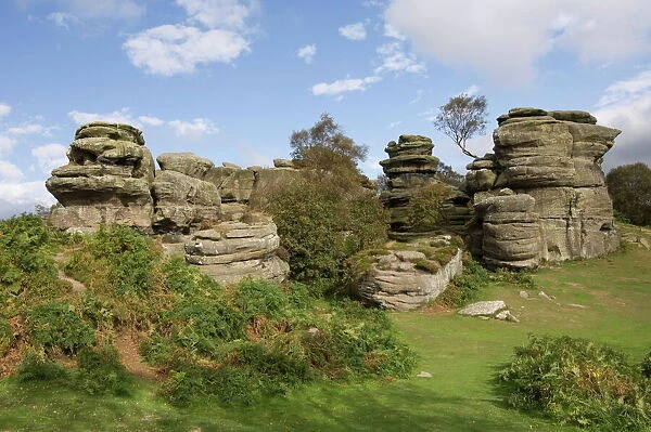 Brimham Rocks, Brimham Moor, near Ripon, North Yorkshire, England, United Kingdom, Europe