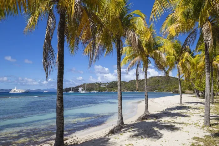 Framed Print : Brittania Bay beach, Mustique, The Grenadines, St. Vincent and The Grenadines, West Indies Framed Print : Brittania Bay beach, Mustique, The Grenadines, St. Vincent and The Grenadines, West Indies