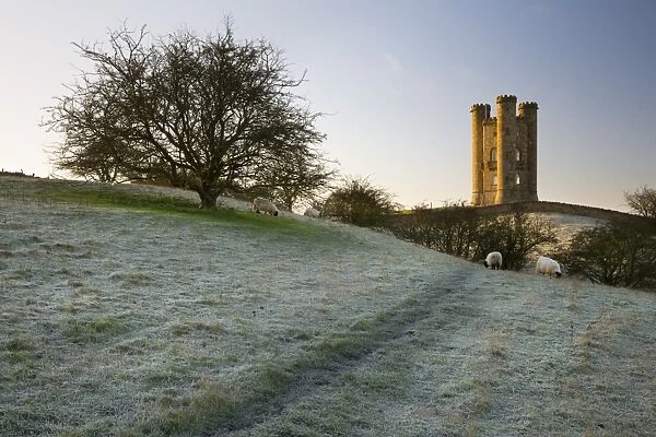 Broadway Tower on frosty morning, Broadway, Cotswolds, Worcestershire, England, United Kingdom, Europe