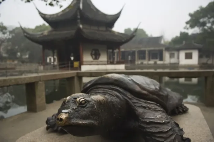 Framed Print : A bronze terrapin statue and pagoda at West Garden Buddhist Temple, Suzhou Framed Print : A bronze terrapin statue and pagoda at West Garden Buddhist Temple, Suzhou