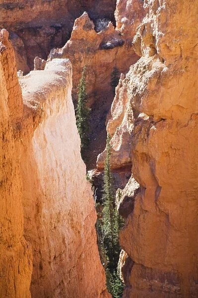 Bryce Canyon National Park