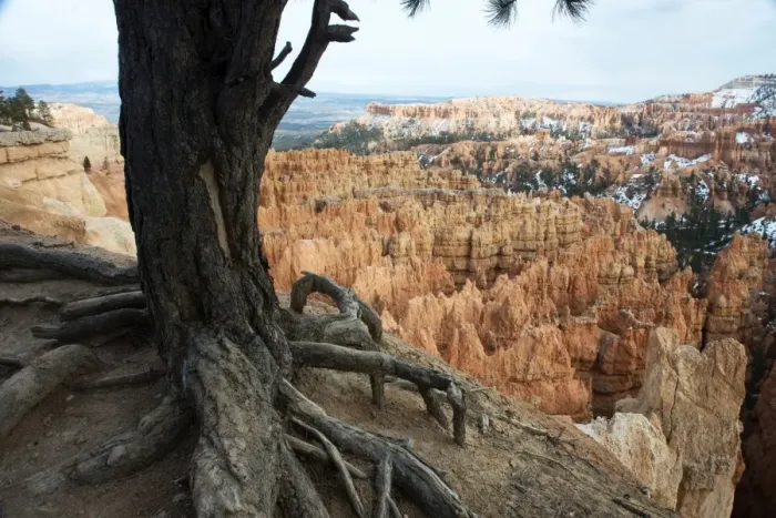 Framed Print : Bryce Canyon National Park, Utah, United States of America, North America Framed Print : Bryce Canyon National Park, Utah, United States of America, North America