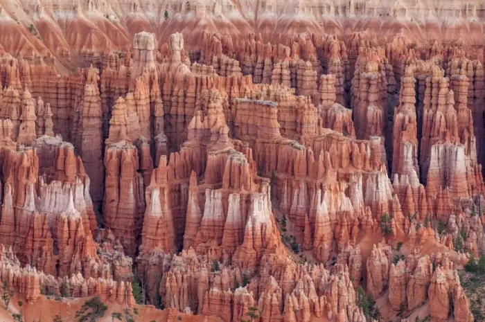 Framed Print : Bryce Canyon National Park Utah, United States of America, North America Framed Print : Bryce Canyon National Park Utah, United States of America, North America