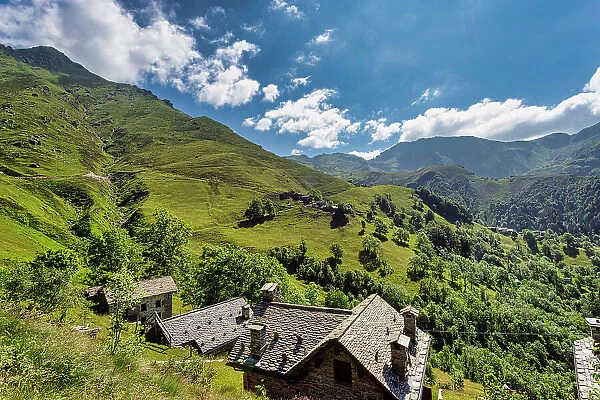 The bucolic landscape of Val Mastellone in summer, Rimella, Valsesia, Vercelli district, Piedmont, Italy, Europe