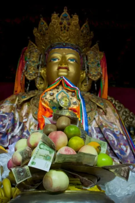 Framed Print : Buddha with sacrifical offerings in a little temple in Lhasa, Tibet, China, Asia Framed Print : Buddha with sacrifical offerings in a little temple in Lhasa, Tibet, China, Asia