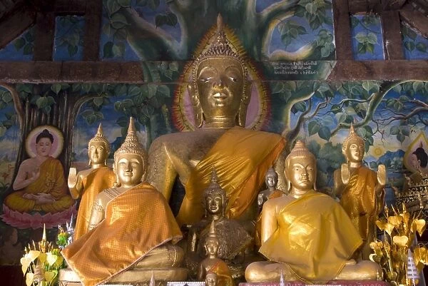 Buddha statues, Wat Aham, Luang Prabang, Laos, Indochina, Southeast Asia, Asia