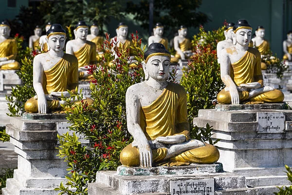 Buddhas lining up, Aung Zay Yan Aung Pagoda, Myitkyina, Kachin state, Myanmar (Burma)