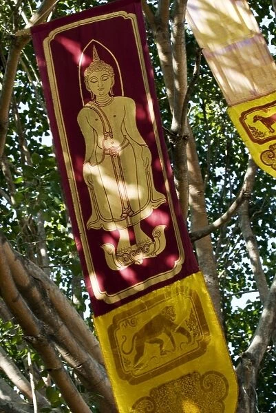 Buddhist flags in temple trees, Chiang Mai, Thailand, Southeast Asia, Asia