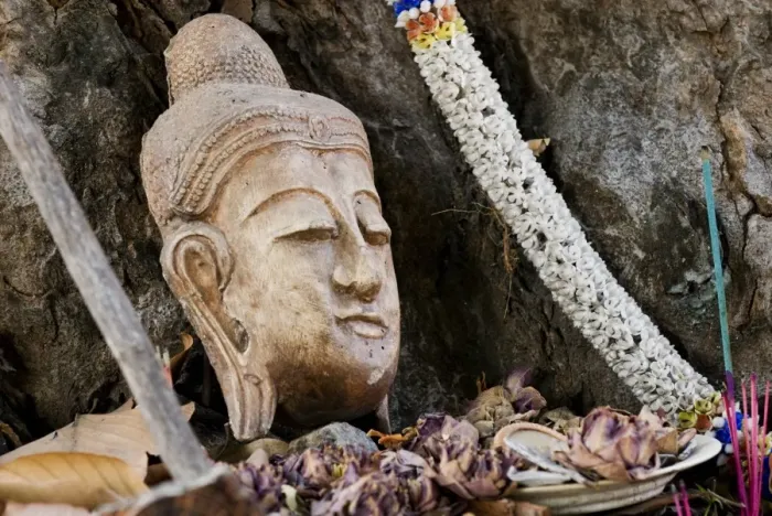 Framed Print : Buddhist head placed at tree base, Chiang Mai, Thailand, Southeast Asia, Asia Framed Print : Buddhist head placed at tree base, Chiang Mai, Thailand, Southeast Asia, Asia