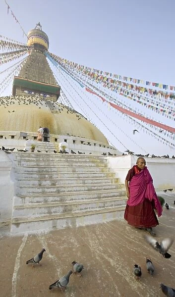 Buddhist monk descends the steps of Boudha (Bodhnath) (Boudhanath)