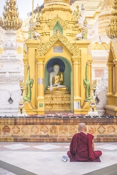 Buddhist monk praying at Shwedagon Pagoda (Shwedagon Zedi Daw) (Golden Pagoda), Yangon (Rangoon)