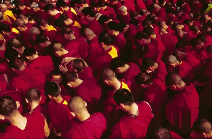 Framed Print : Buddhist monks praying during the celebration of Losar