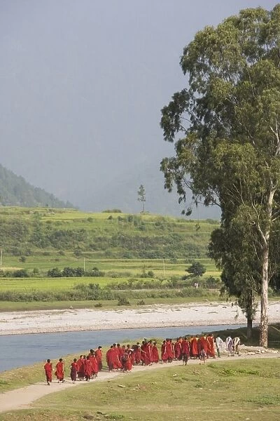 Buddhist monks from Punakha Dzong, going to river for meditation, Punakha, Bhutan, Asia