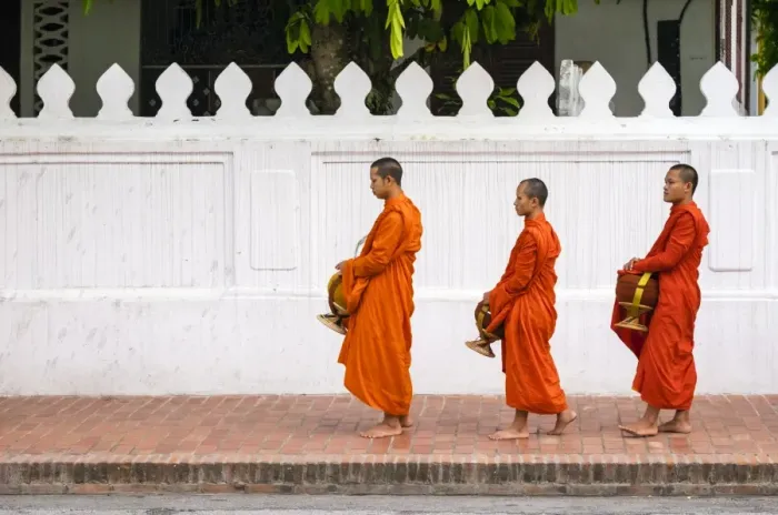 Framed Print : Buddhist novice monks line up to receive alms (Tak Bat) at dawn, Luang Prabang, Louangphabang Framed Print : Buddhist novice monks line up to receive alms (Tak Bat) at dawn, Luang Prabang, Louangphabang