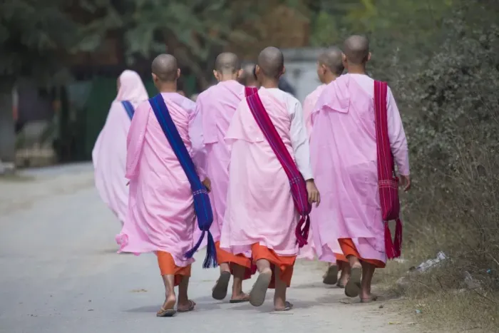 Framed Print : Buddhist nuns in traditional robes, Sagaing, Myanmar (Burma), Southeast Asia Framed Print : Buddhist nuns in traditional robes, Sagaing, Myanmar (Burma), Southeast Asia