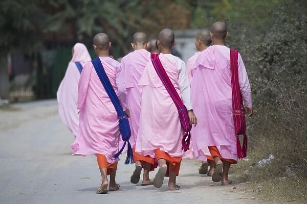 Buddhist nuns in traditional robes, Sagaing, Myanmar (Burma), Southeast Asia