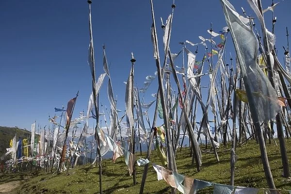 Buddhist prayer flags on Cheli La Pass, 3810m, from Paro to Haa Valley