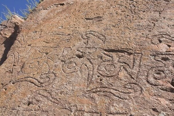 Buddhist rock carvings, Tamagaly Das, Kazakhstan, Central Asia, Asia