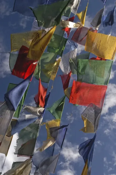 Framed Print : Budhhist prayer flags fluttering in the wind, Darjeeling, West Bengal, India, Asia Framed Print : Budhhist prayer flags fluttering in the wind, Darjeeling, West Bengal, India, Asia