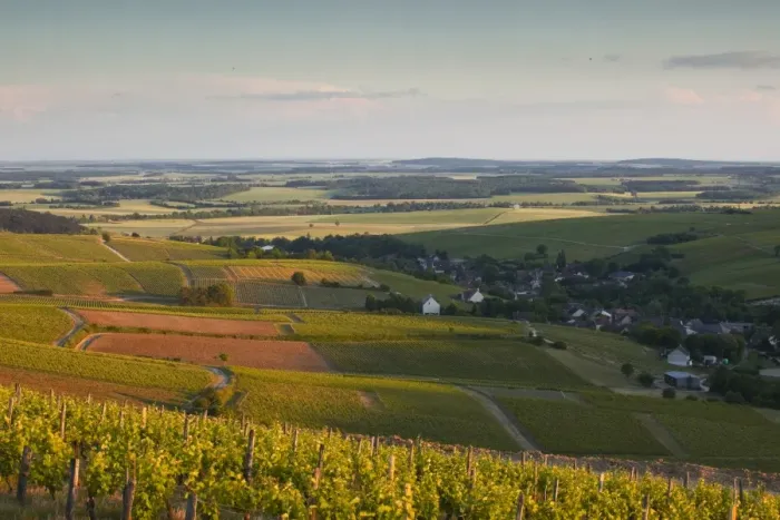 Framed Print : Bue, Sancerre, Cher, Loire Valley, Centre, France, Europe Framed Print : Bue, Sancerre, Cher, Loire Valley, Centre, France, Europe