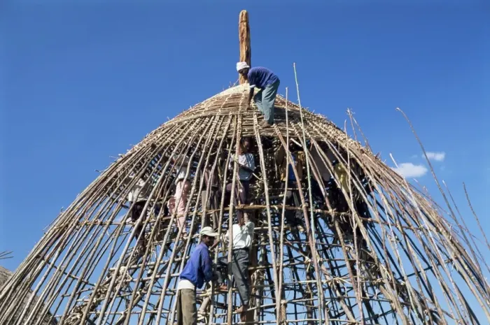 Framed Print : Building a circular house, Gourague country, Shoa province, Ethiopia, Africa Framed Print : Building a circular house, Gourague country, Shoa province, Ethiopia, Africa