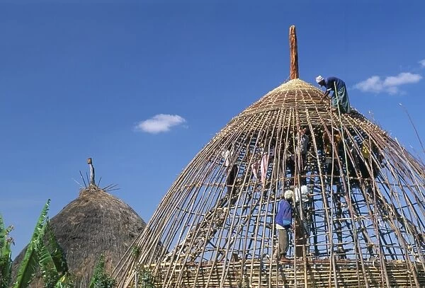 Building a hut, Gourague area, Shoa province, Ethiopia, Africa