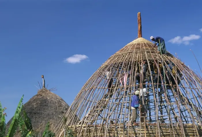Framed Print : Building a hut, Gourague area, Shoa province, Ethiopia, Africa Framed Print : Building a hut, Gourague area, Shoa province, Ethiopia, Africa