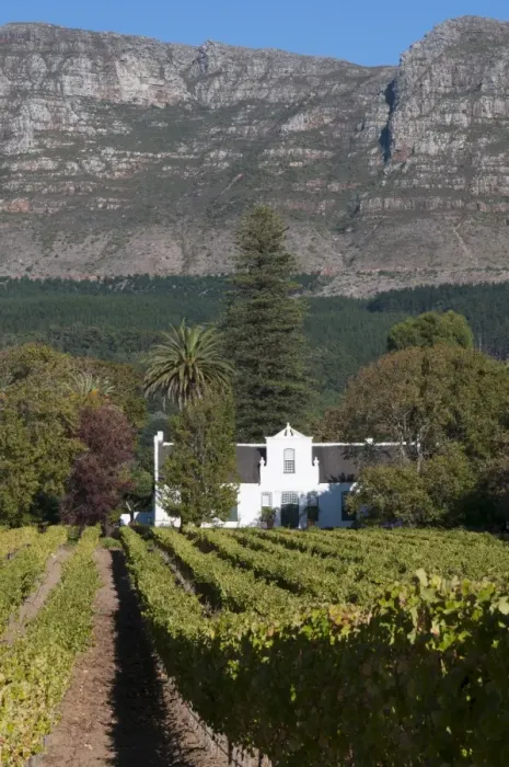 Framed Print : Buitenverwachting Wine Farm, Constantia, Cape Province, South Africa, Africa Framed Print : Buitenverwachting Wine Farm, Constantia, Cape Province, South Africa, Africa