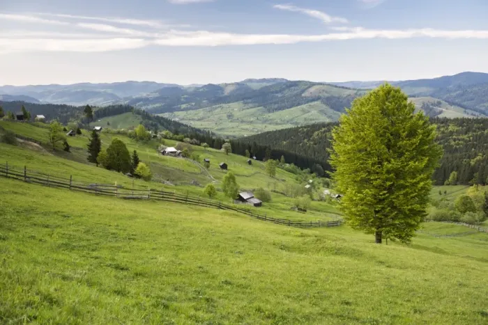 Framed Print : Bukovina Region (Bucovina) landscape at Paltinu, Romania, Europe Framed Print : Bukovina Region (Bucovina) landscape at Paltinu, Romania, Europe