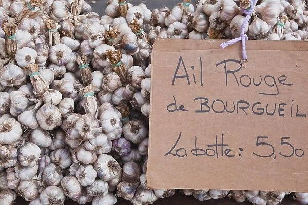 Bulbs of garlic on sale at a market in Tours, Indre-et-Loire, Loire Valley, France, Europe