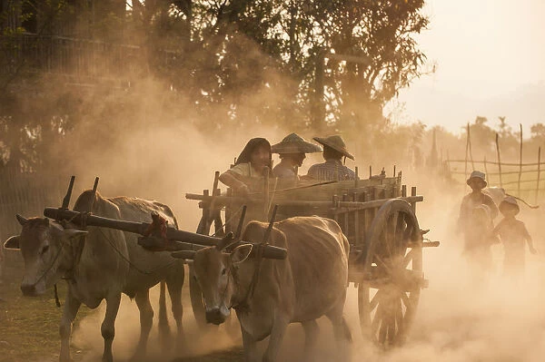 A bull cart kicks up a cloud of dust on the road to Indawgyi Lake, Kachin State, Myanmar (Burma)