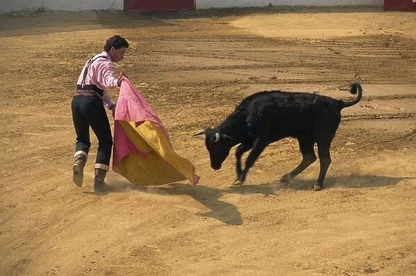 Bullfight demonstration, Andalucia, Spain, Europe