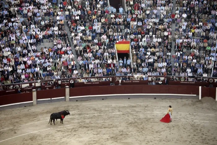 Framed Print : A bullfight takes place in Las Ventas, Madrid, Spain, Europe Framed Print : A bullfight takes place in Las Ventas, Madrid, Spain, Europe