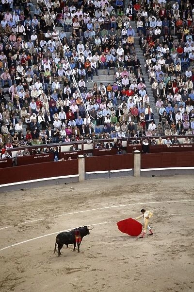 A bullfight takes place in Las Ventas, Madrid, Spain, Europe