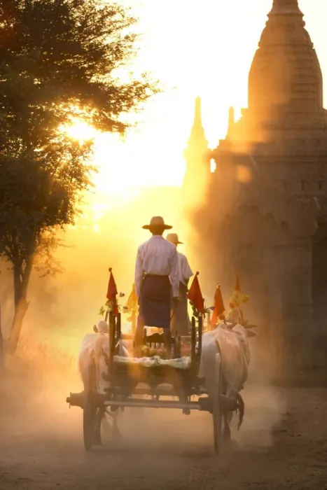 Framed Print : Bullock cart on a dusty track among the temples of Bagan with light from the setting sun shining through the dust, Bagan, Myanmar (Burma), Southeast Asia Framed Print : Bullock cart on a dusty track among the temples of Bagan with light from the setting sun shining through the dust, Bagan, Myanmar (Burma), Southeast Asia