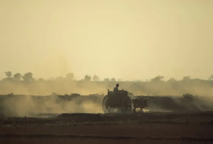 Framed Print : Bullock cart returning home in the evening, near Bago (Pegu), Myanmar (Burma), Asia Framed Print : Bullock cart returning home in the evening, near Bago (Pegu), Myanmar (Burma), Asia