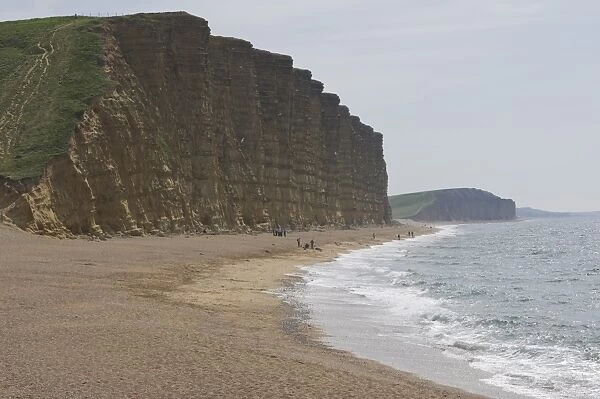 Burton Cliff, The Jurassic Coast, UNESCO World Heritage Site, Dorset, England
