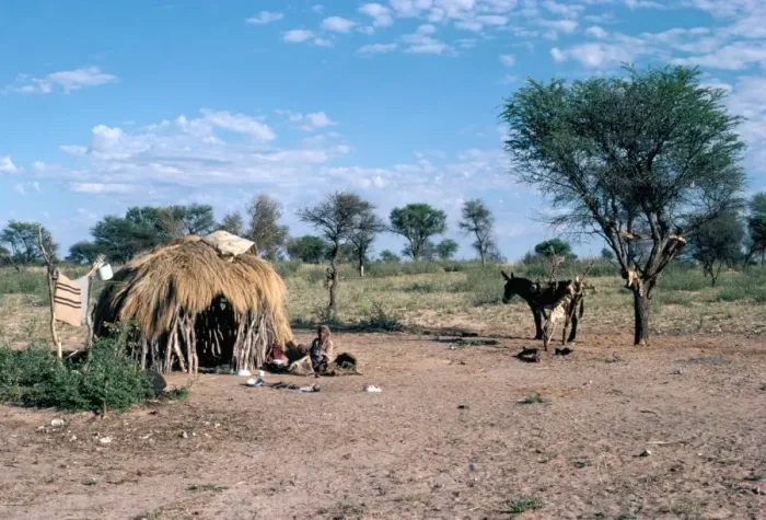 Framed Print : Bushmen, Kalahari, Botswana, Africa Framed Print : Bushmen, Kalahari, Botswana, Africa