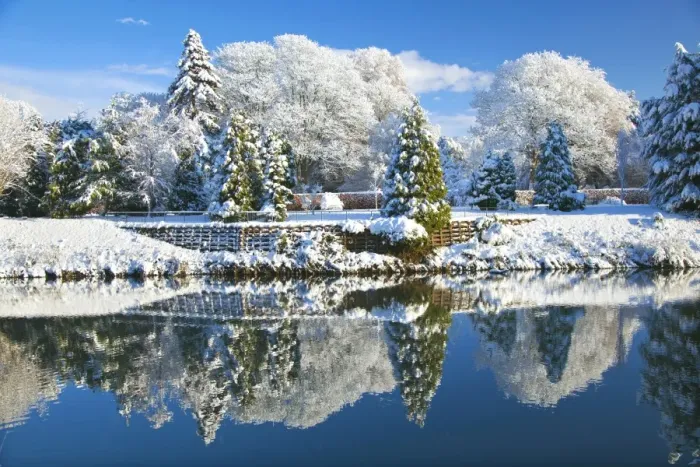 Framed Print : Bute Park in snow, Cardiff, Wales, United Kingdom, Europe Framed Print : Bute Park in snow, Cardiff, Wales, United Kingdom, Europe